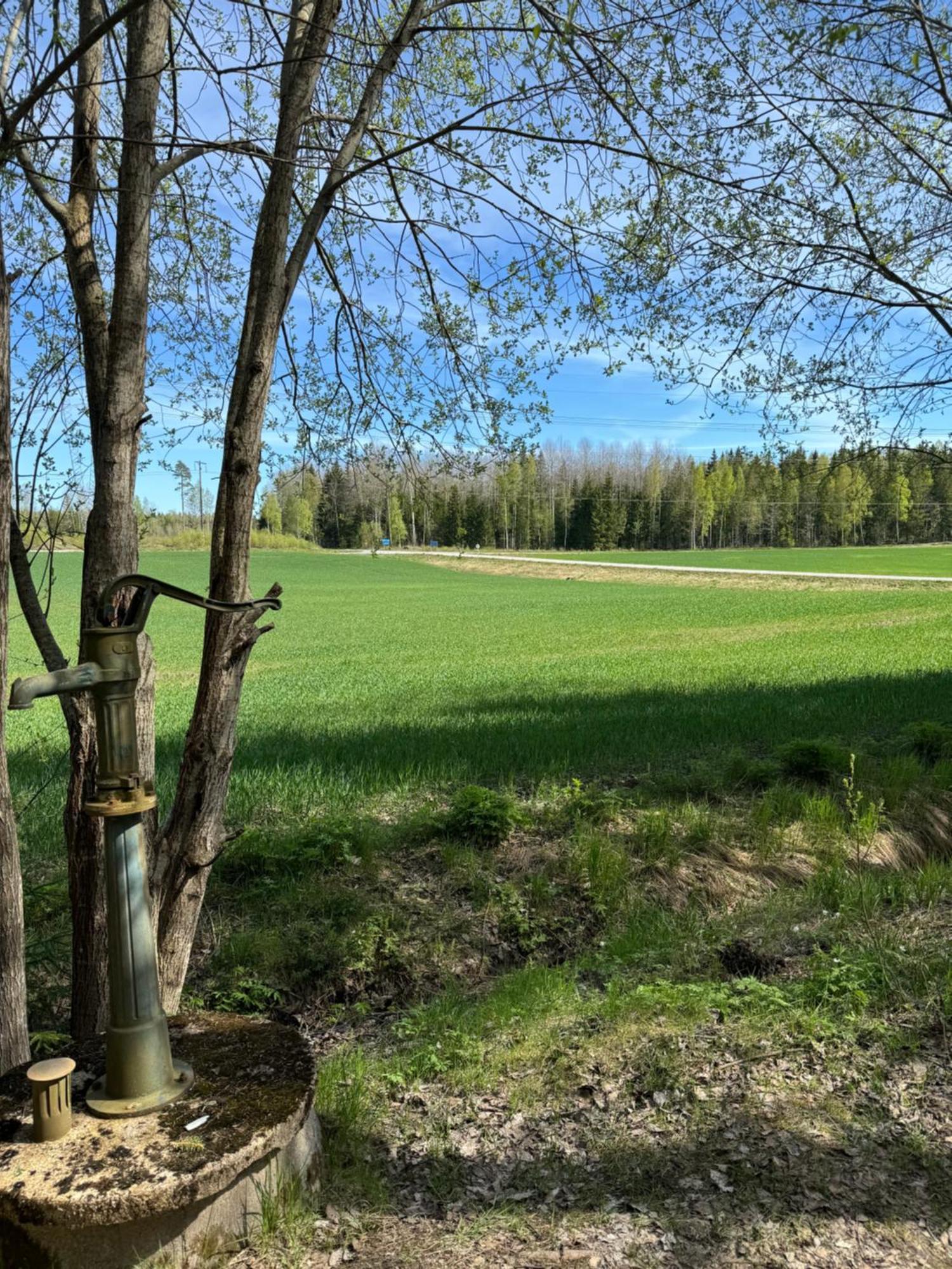 Mysig Stuga I Naevesta Örebro Eksteriør billede
